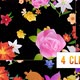 Falling Flowers with Transparent Background - 4 Clips - VideoHive Item for Sale