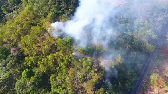 Aerial view of a smoking forest fire, near a road, in rainforests of Africa - tilt up, drone shot