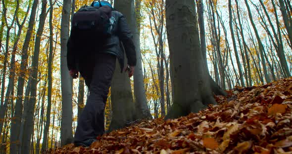 Hiking in the Autumn Forest with a Backpack