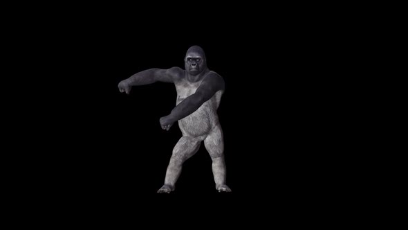 Gorilla The Floss Dance