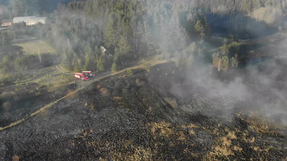 Burning Grass and Trees in a Large Area Fire Trucks at the Fire Place