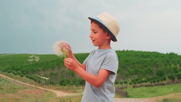 Boy in Summer Hat is Blowing on a Big Dandelion