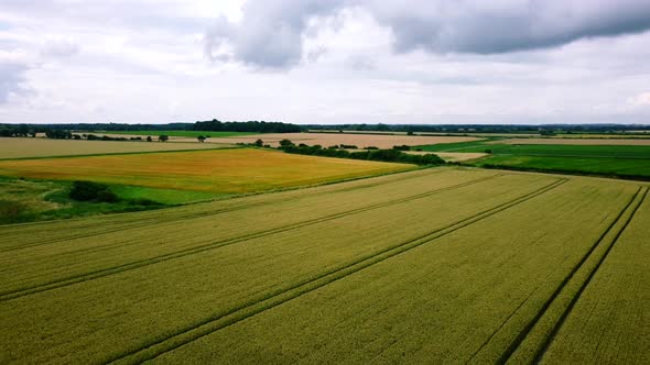 Aerial shot of a countryside landscape with golden fields and meadows, England