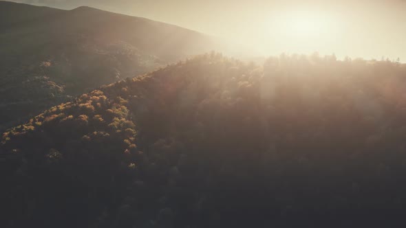 Dense Forest Mountain Peak Landscape Aerial View