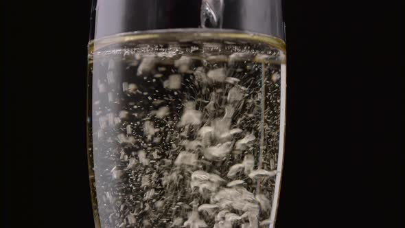 Champagne Poured Into Glass, Black Background