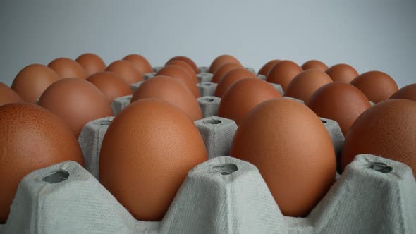Raw Eggs 08
