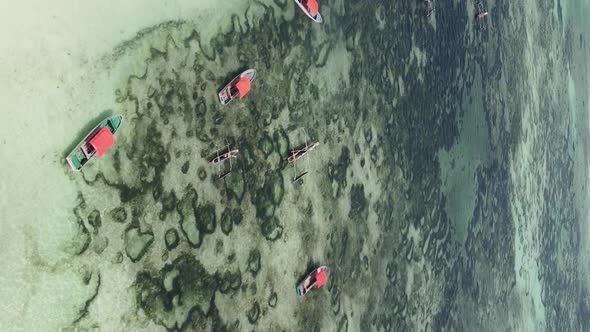 Vertical Video of the Ocean Near the Coast of Zanzibar Tanzania Aerial View