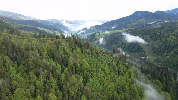 Ukraine, Carpathian Mountains: Beautiful Mountain Forest Landscape. Aerial