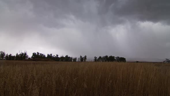 Wind blowing grassy field durning rain storm in Wyoming as light flashes alt