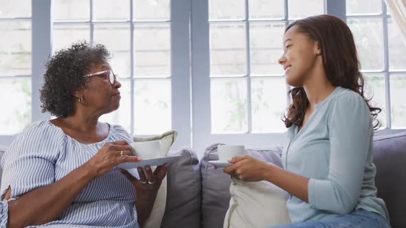 Mix race Senior and young women spending time together at home