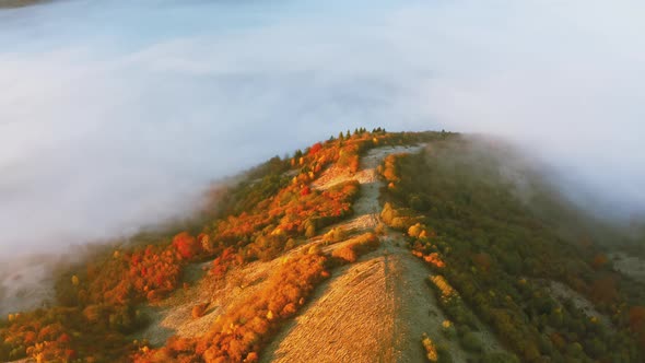 Mountains with Colorful Trees Covered with Layer of Fog