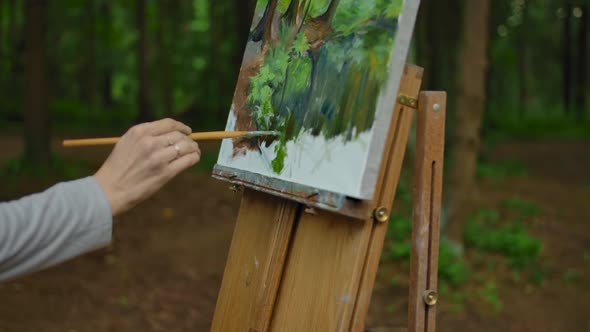 The Girl's Hand Makes a Few Strokes on the Landscape Drawings in the Forest