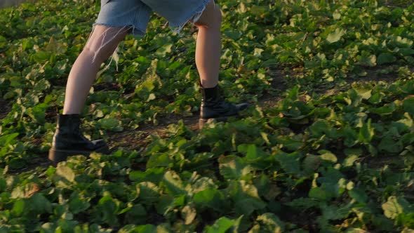 Female Tourist is Walking Over Slope of Mount at Summer in Golden Hour Closeup of Legs