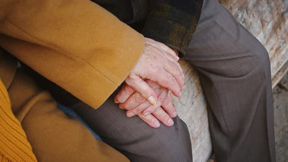 Unknown Aged Female Putting Her Palm on Wrinkled Hand of Husband and Stroking It Sitting on a Tree