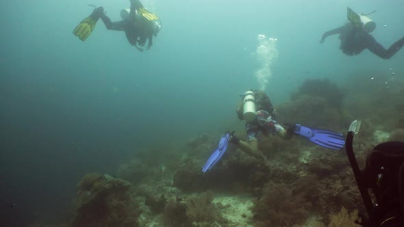 Scuba Divers Underwater