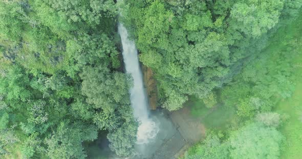 Tiger Waterfall Surrounded by Green Trees