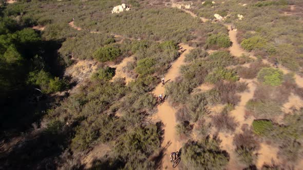 4K Cyclist Competing Race To The Finish In Canyon