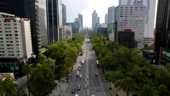 Drone shot backwards of dead palm at paseo de la reforma in mexico city