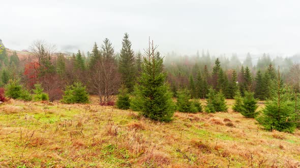 Ukraine Carpathians