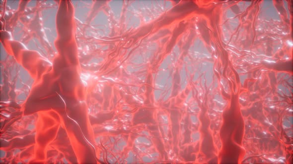 Journey Through a Neuron Cell Network Inside the Brain alt