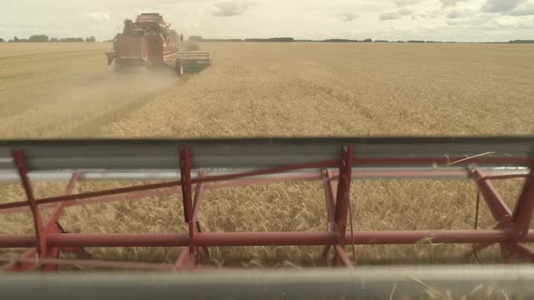 Large Combine Header Mows the Wheat