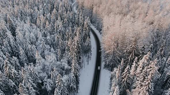 Aerial View of a Car Driving Along a Winding Snowcovered Road in a Fabulous Winter Forest