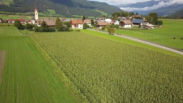 Long Cornfield in Valdaora di Mezzo near Lake Braies Italy with town in background, Aerial lowering