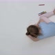 Girl Draws on the Floor with Pencils with Two Hands - VideoHive Item for Sale