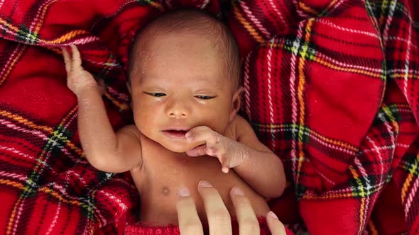 Mother with newborn baby on soft tartan blanket