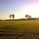 Aerial Cinematic Clip Drone Flying Over a Farm Field During Sunset - VideoHive Item for Sale