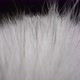 Real Fuzzy White Fur Extreme Closeup. - VideoHive Item for Sale