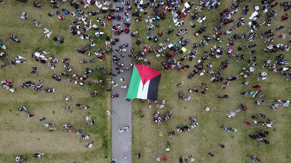 Crowds with the Palestine Flag