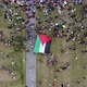 Crowds with the Palestine Flag - VideoHive Item for Sale