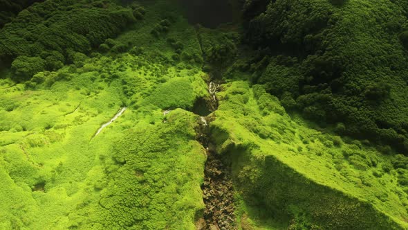 Mountains Covered Green Vegetation in Poco Ribeira Do Ferreiro Flores Island