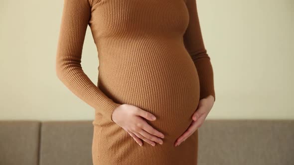 Closeup of the Pregnant Woman Standing Stroking Her Stomach