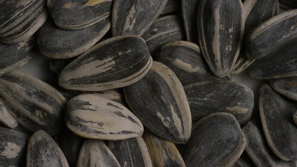 Cinematic, rotating shot of sunflower seeds on a white surface - SUNFLOWER SEEDS 005