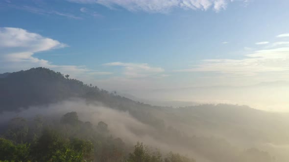 Fog Flotting On The Hill 2