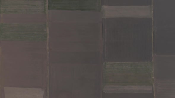 Drone View of Cultivated Agricultural Field Separated on Squares