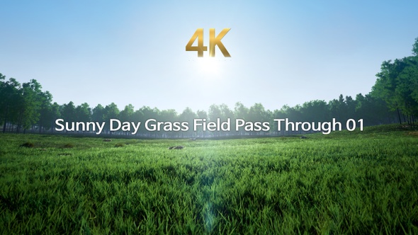 Sunny Day Grass Field Pass Through 01