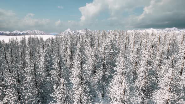 Winter Forest in 3d Style Beautiful Mountain Landscape View Winter Day