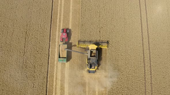 Top down view of Harvester machine working in wheat field 