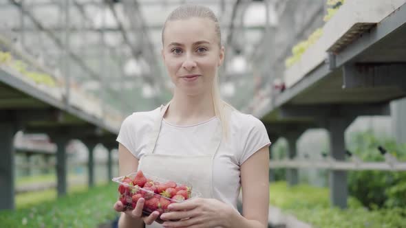 Beautiful Caucasian Young Woman Standing in Greenhouse Holding Box with Strawberry and Smiling at