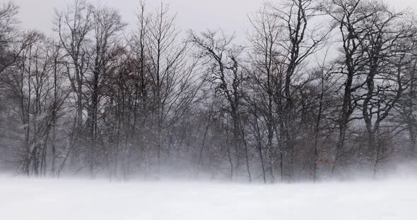 Strong blizzard in the mountains on a winter day