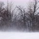 Strong blizzard in the mountains on a winter day - VideoHive Item for Sale