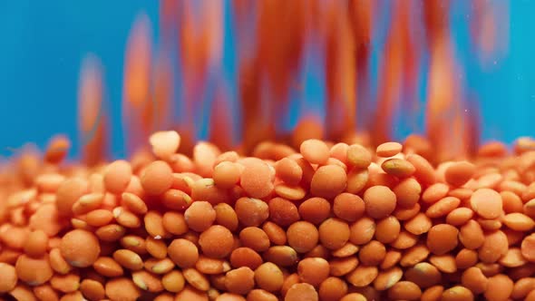 Closeup of Falling Down Red Lentils Into Glass Jar on Blue Background