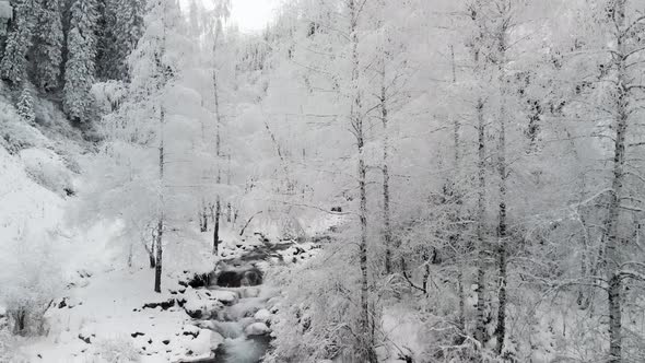 River in the Winter Snow Forest in the Mountains