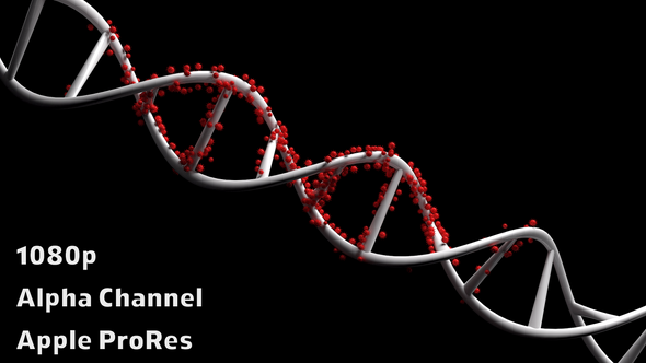 Virus On Dna Surface