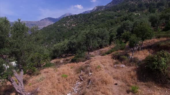 Aerial view of mountains and trees in Albania