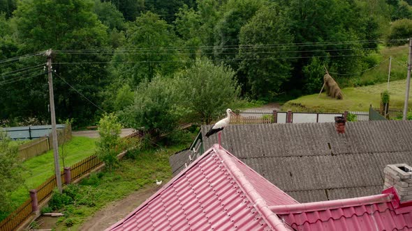 Aerial Drone View Stork in the Roof V4