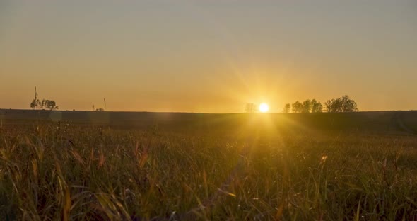 Flat Hill Meadow Timelapse at the Summer Sunset Time. Wild Nature and Rural Grass Field. Sun Rays